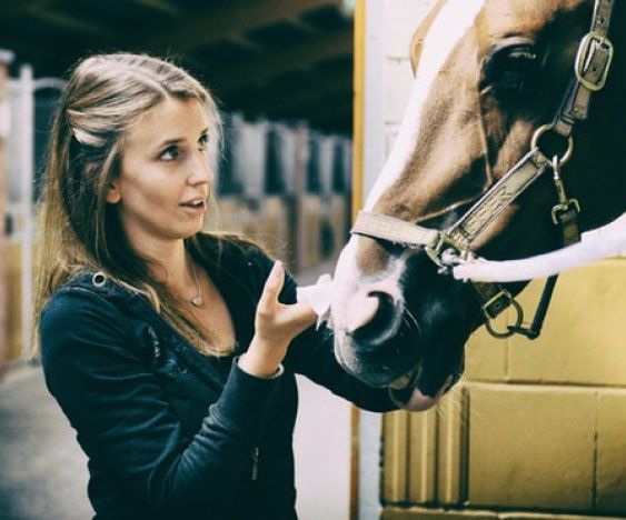 Can We Learn From Horses?
